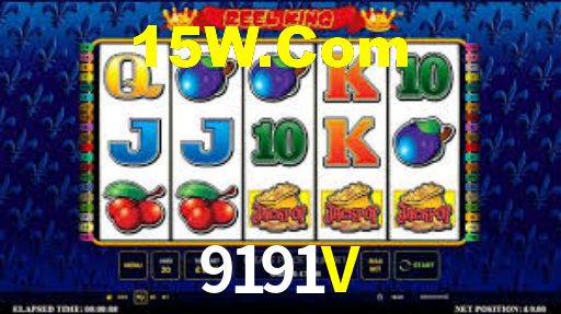 9191V